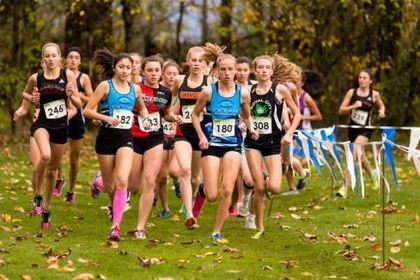 BC Cross Country Championships and XC Season Key Info